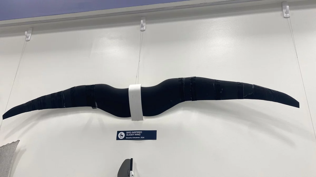 Another bird-inspired drone projects under way